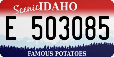 ID license plate E503085