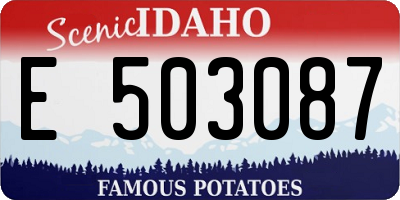 ID license plate E503087