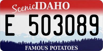 ID license plate E503089