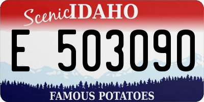 ID license plate E503090