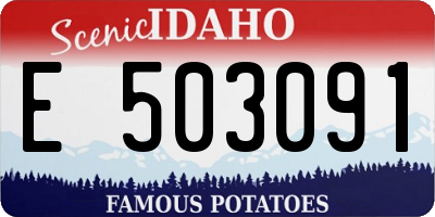 ID license plate E503091