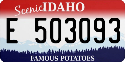 ID license plate E503093