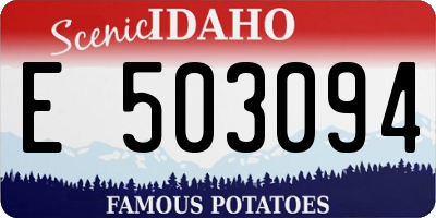 ID license plate E503094