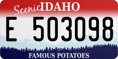 ID license plate E503098