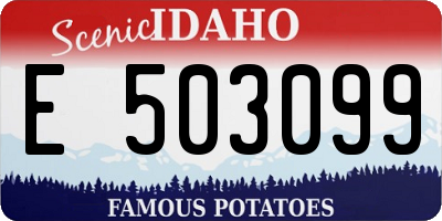 ID license plate E503099