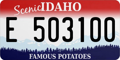 ID license plate E503100