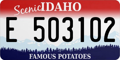 ID license plate E503102