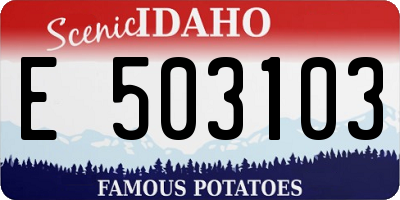 ID license plate E503103