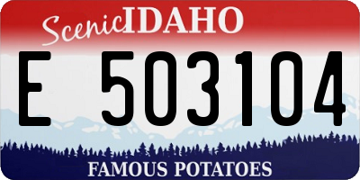 ID license plate E503104