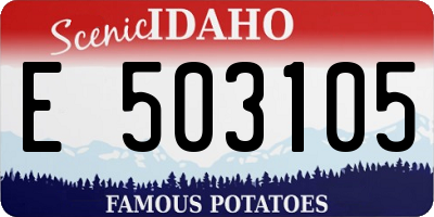 ID license plate E503105