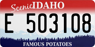 ID license plate E503108