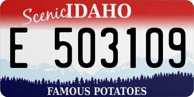 ID license plate E503109