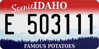 ID license plate E503111