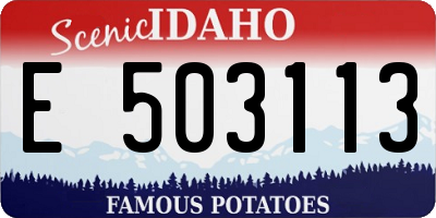ID license plate E503113