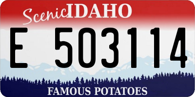 ID license plate E503114