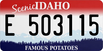 ID license plate E503115