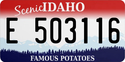 ID license plate E503116