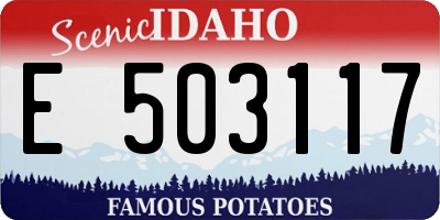 ID license plate E503117