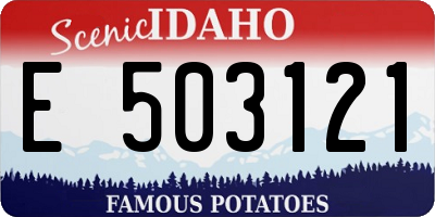 ID license plate E503121