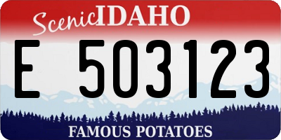 ID license plate E503123