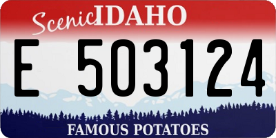 ID license plate E503124