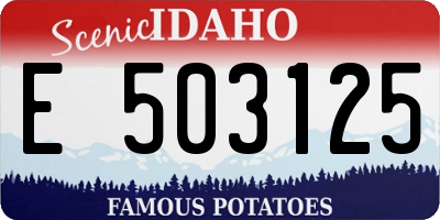 ID license plate E503125