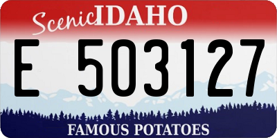 ID license plate E503127