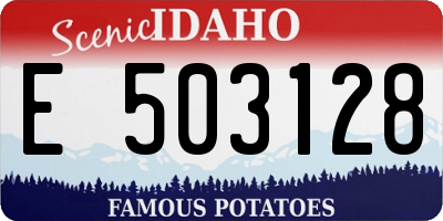 ID license plate E503128