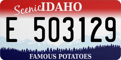 ID license plate E503129