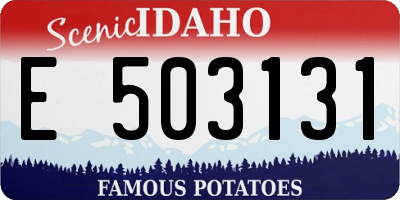 ID license plate E503131