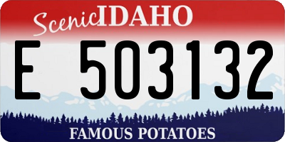ID license plate E503132
