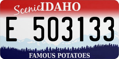 ID license plate E503133