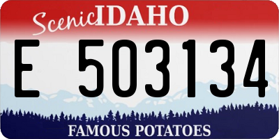 ID license plate E503134