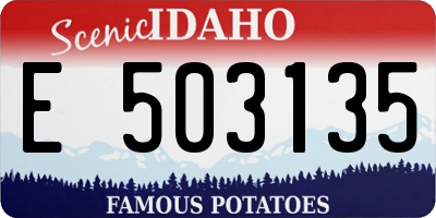 ID license plate E503135