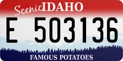 ID license plate E503136