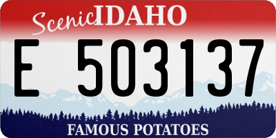 ID license plate E503137