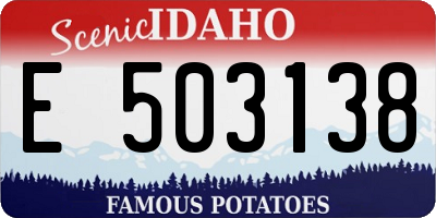 ID license plate E503138