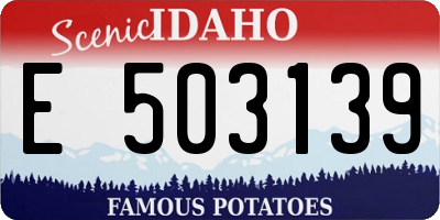ID license plate E503139