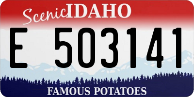 ID license plate E503141