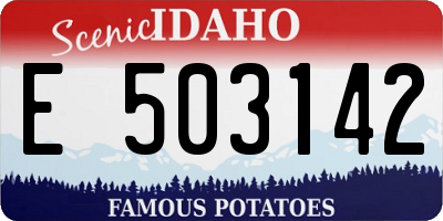 ID license plate E503142