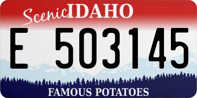 ID license plate E503145