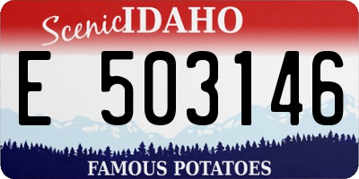 ID license plate E503146