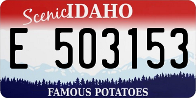 ID license plate E503153