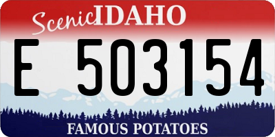 ID license plate E503154