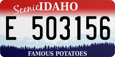 ID license plate E503156