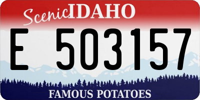 ID license plate E503157