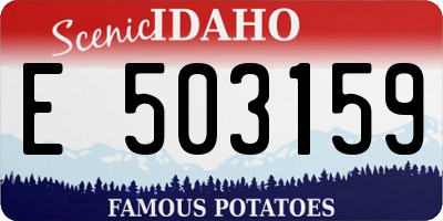 ID license plate E503159