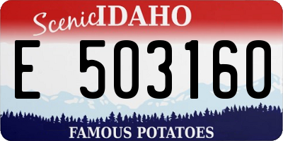 ID license plate E503160