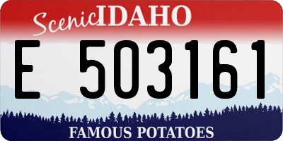 ID license plate E503161