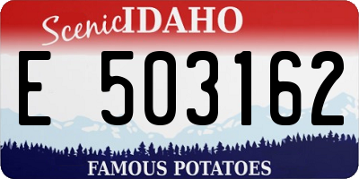 ID license plate E503162